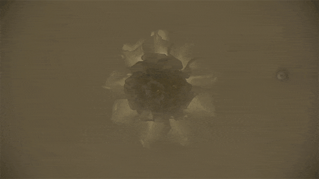 IKg13bCnFlusDzgdM2Xi.gif